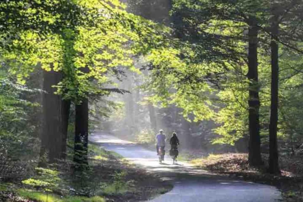 Chalet Toetje Op De Veluwe Хундерло Екстериор снимка