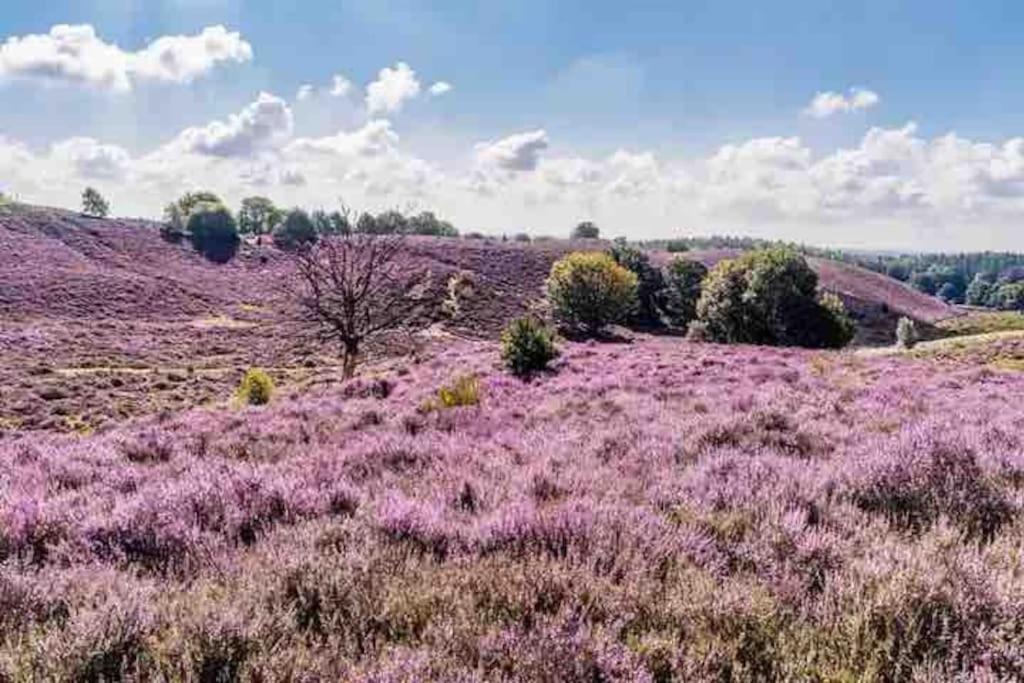 Chalet Toetje Op De Veluwe Хундерло Екстериор снимка